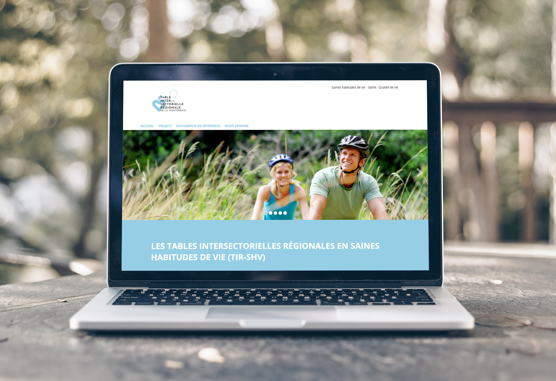 Site Internet TIR monteregie Agence Caza